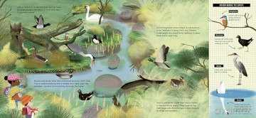 National Trust: Look What I Found by the River - Moira Butterfield [KSIĄŻKA]