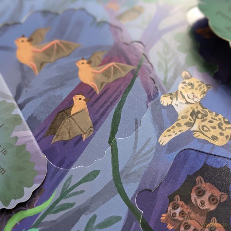 Nature Die-Cut Books - Rainforest - Laura Garnerburt [KSIĄŻKA]