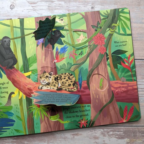 Nature Die-Cut Books - Rainforest - Laura Garnerburt [KSIĄŻKA]