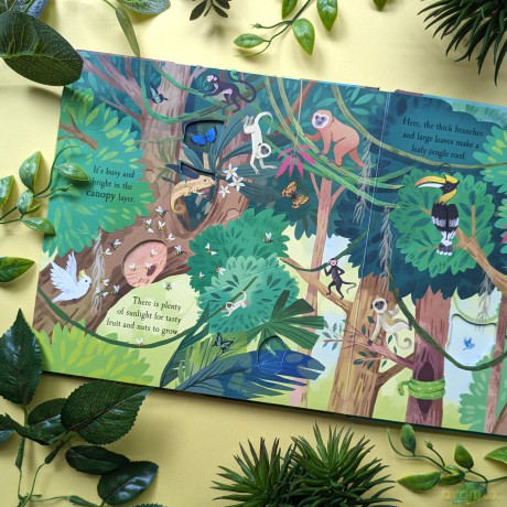 Nature Die-Cut Books - Rainforest - Laura Garnerburt [KSIĄŻKA]