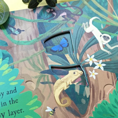 Nature Die-Cut Books - Rainforest - Laura Garnerburt [KSIĄŻKA]