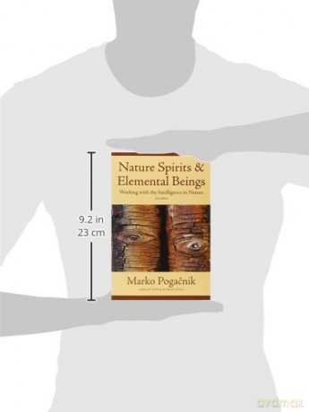 Nature Spirits and Elemental Beings: Working with the Intelligence in Nature: Revised, Updated and Expanded Edition - Marko Pogacnik [KSIĄŻKA]