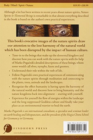 Nature Spirits and Elemental Beings: Working with the Intelligence in Nature: Revised, Updated and Expanded Edition - Marko Pogacnik [KSIĄŻKA]