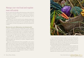 Nature's Way to Healing: A Long Covid Guide - Lee Holmes [KSIĄŻKA]