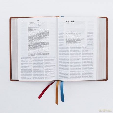 NET Bible, Full-notes Edition, Cloth over Board, Gray, Comfort Print: Holy Bible [KSIĄŻKA]