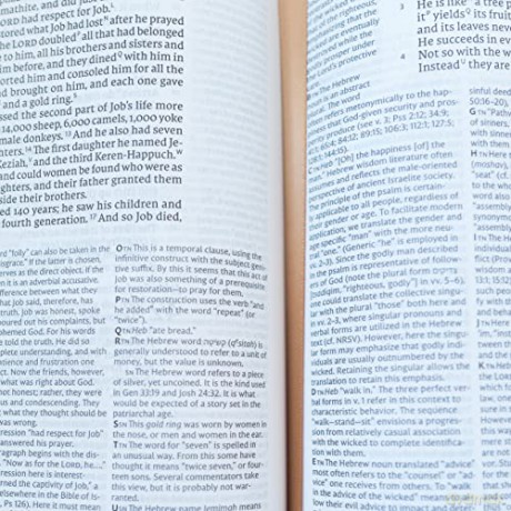 NET Bible, Full-notes Edition, Cloth over Board, Gray, Comfort Print: Holy Bible [KSIĄŻKA]