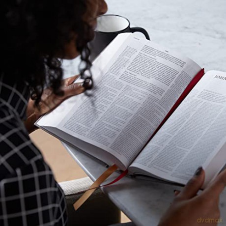 NET Bible, Full-notes Edition, Cloth over Board, Gray, Comfort Print: Holy Bible [KSIĄŻKA]