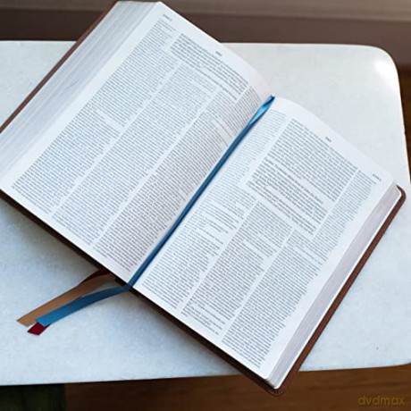 NET Bible, Full-notes Edition, Cloth over Board, Gray, Comfort Print: Holy Bible [KSIĄŻKA]