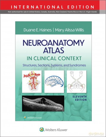 Neuroanatomy Atlas in Clinical Context: Structures, Sections, Systems, and Syndromes - Duane E Haines [KSIĄŻKA]