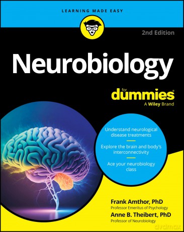 Neurobiology For Dummies - Frank Amthor [KSIĄŻKA]
