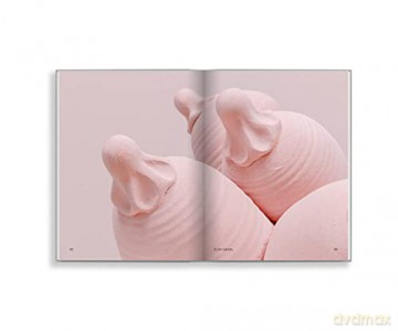 NEW ART SCALES (WITH THE PILL): Rethinking Local in a Global Art World - Ed. Luquet-Gad [KSIĄŻKA]