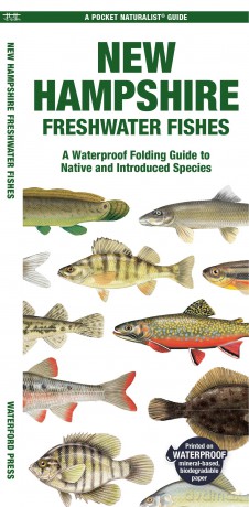 New Hampshire Freshwater Fishes: A Waterproof Folding Guide to Native and Introduced Species (Pocket Naturalist Guide) - Waterford Press [KSIĄŻKA]