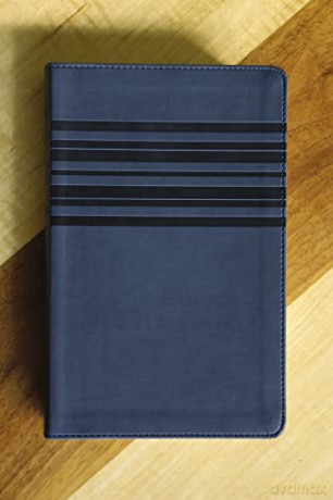 NIrV, Holy Bible, Large Print, Leathersoft, Blue: NIRV Slate Blue Italian Duo-Tone [KSIĄŻKA]