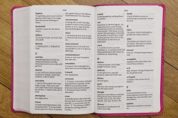 NIrV, Holy Bible, Large Print, Leathersoft, Blue: NIRV Slate Blue Italian Duo-Tone [KSIĄŻKA]