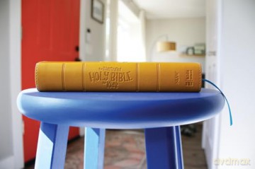 NIrV, The Illustrated Holy Bible for Kids, Leathersoft, Yellow, Full Color, Comfort Print: Over 750 Images [KSIĄŻKA]