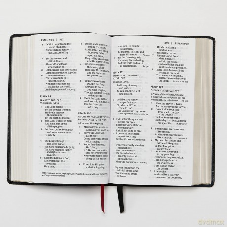NKJV, End-of-Verse Reference Bible, Compact, Leathersoft, Teal, Red Letter, Comfort Print: Holy Bible, New King James Version [KSIĄŻKA]