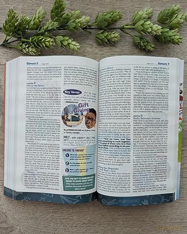 NLT Hands-On Bible, Third Edition (Softcover): New Living Translation: Discovering God's Truth!: New Living Translation, Full-Color Interior, Key Verse Activities, Fun Facts [KSIĄŻKA]