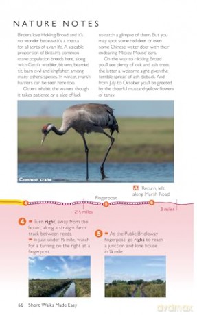 Norfolk Coast and Broads Short Walks Made Easy | Ordnance Survey | 10 Walks For Everybody | Guidebook | England | Norfolk Broads National Park | Walks | Adventure (OS Short Walks Made Easy) - Ordnance Survey