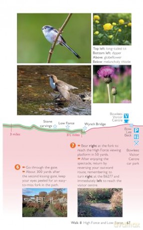 North Pennines Short Walks Made Easy | Ordnance Survey | 10 Walks For Everybody | Guidebook | England | Walks | Adventure (OS Short Walks Made Easy) - Ordnance Survey