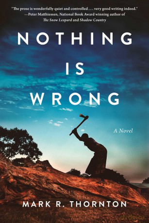 Nothing Is Wrong: A Novel - Mark R Thornton [KSIĄŻKA]