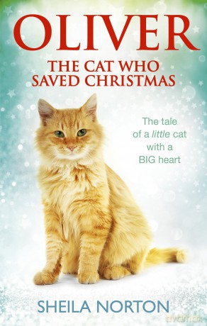 Oliver The Cat Who Saved Christmas - Sheila Norton [KSIĄŻKA]