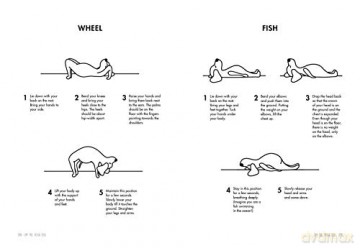 Om the Yoga Dog: A Beginner's Guide for Children (and their grown-ups) [KSIĄŻKA]