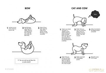 Om the Yoga Dog: A Beginner's Guide for Children (and their grown-ups) [KSIĄŻKA]