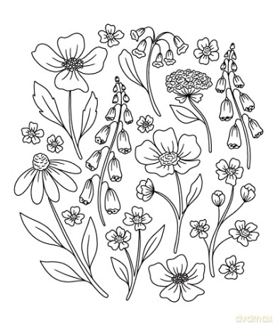 On the Bright Side Coloring Book: Floral Patterns to Help You Relax, Unwind, and Focus on the Good: 2 (On the Bright Side, 1) - Elyse Burns [KSIĄŻKA]
