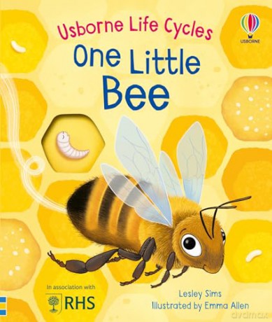 One Little Bee (Life Cycles) - Lesley Sims [KSIĄŻKA]