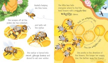 One Little Bee (Life Cycles) - Lesley Sims [KSIĄŻKA]
