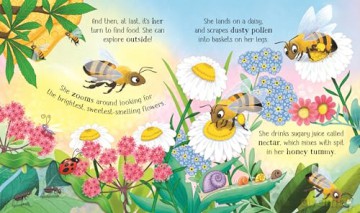 One Little Bee (Life Cycles) - Lesley Sims [KSIĄŻKA]