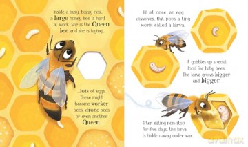 One Little Bee (Life Cycles) - Lesley Sims [KSIĄŻKA]