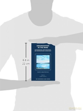 Organization in the Mind: Psychoanalysis, Group Relations and Organizational Consultancy (The Tavistock Clinic Series) - David Armstrong [KSIĄŻKA]