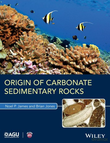 Origin of Carbonate Sedimentary Rocks (Wiley Works) [KSIĄŻKA]