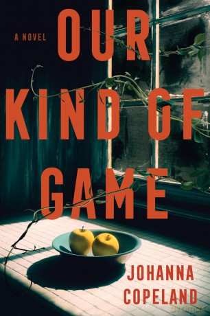 Our Kind of Game: A Novel - Johanna Copeland [KSIĄŻKA]