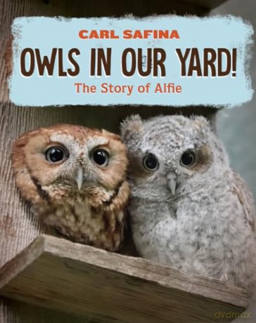 Owls in Our Yard!: The Story of Alfie - Carl Safina [KSIĄŻKA]