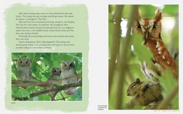 Owls in Our Yard!: The Story of Alfie - Carl Safina [KSIĄŻKA]