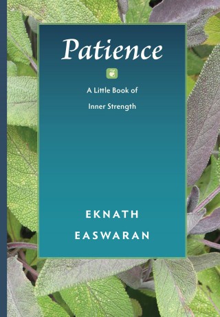 Patience: A Little Book of Inner Strength: 2 (Pocket Wisdom, 2) [KSIĄŻKA]