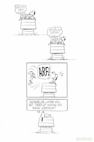 Peanuts: Here's to You Charlie Brown: Here's to You Charlie Brown - Charles M Schulz [KOMIKS]