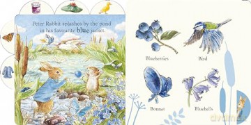 Peter Rabbit: First Colours: Tabbed Board Book - Beatrix Potter [KSIĄŻKA]