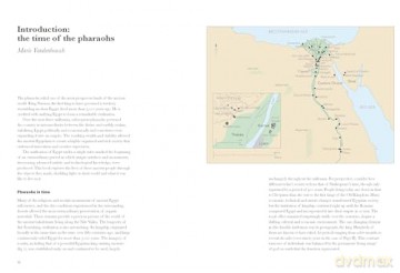 Pharaoh: art and power in ancient Egypt [KSIĄŻKA]