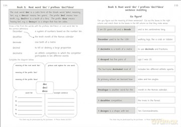 Phonic Books Amber Guardians Activities: Suffixes, prefixes and root words (Phonic Books Catch Up Readers) - Phonic Books [KSIĄŻKA]