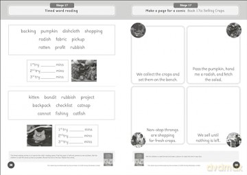 Phonic Books Dandelion World Reading and Writing Activities for Stages 16-20: Simple two-syllable words and suffixes (Phonic Books Beginner Decodable Readers) - Phonic Books [KSIĄŻKA]