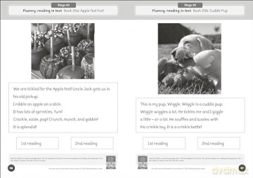 Phonic Books Dandelion World Reading and Writing Activities for Stages 16-20: Simple two-syllable words and suffixes (Phonic Books Beginner Decodable Readers) - Phonic Books [KSIĄŻKA]