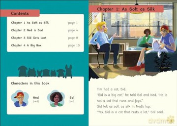 Phonic Books Pet Sitters: Adjacent consonants and consonant digraphs, and alternative spellings for vowel sounds (Phonic Books Catch Up Readers) - Phonic Books [KSIĄŻKA]