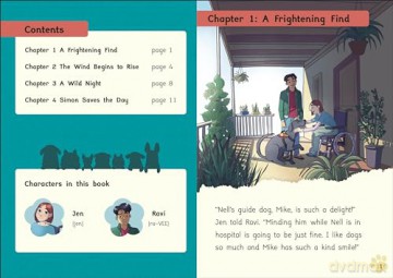 Phonic Books Pet Sitters: Adjacent consonants and consonant digraphs, and alternative spellings for vowel sounds (Phonic Books Catch Up Readers) - Phonic Books [KSIĄŻKA]