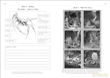 Phonic Books Talisman 1 Activities: Alternative vowel spellings (Phonic Books Catch Up Readers) - Phonic Books [KSIĄŻKA]