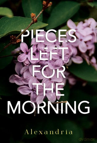 Pieces Left for the Morning [KSIĄŻKA]
