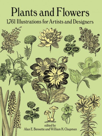 Plants and Flowers: 1761 Illustrations for Artists and Designers: xii (Dover Pictorial Archive) - Bessette;Chapman [KSIĄŻKA]