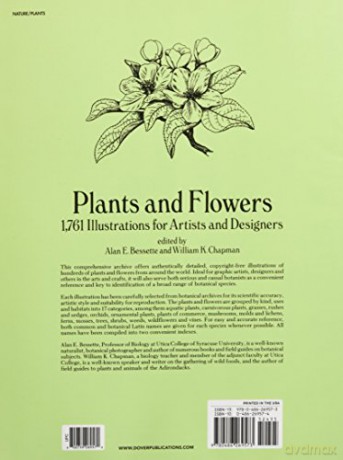Plants and Flowers: 1761 Illustrations for Artists and Designers: xii (Dover Pictorial Archive) - Bessette;Chapman [KSIĄŻKA]